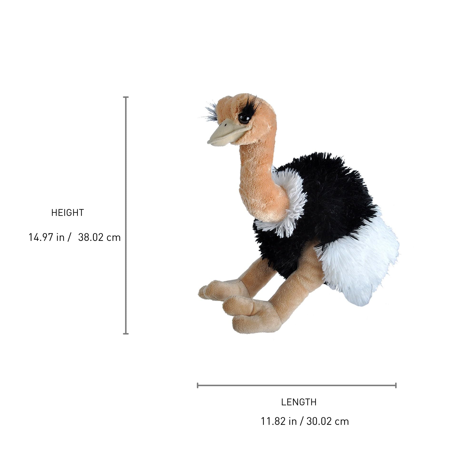 大きなダチョウ ぬいぐるみ セキグチ Amazon.co.jp: ワイルドリパブリック 動物園シリーズ ダチョウ
