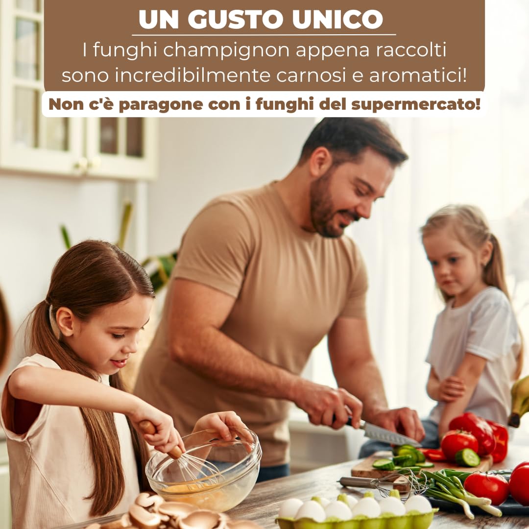 Hawlik Pilzbrut - Set di 2 colture fungine da champignon XXL – grande set da degustazione – facile da coltivare da funghi, senza conoscenze preliminari – set da allevare funghi - funghi coltivazione