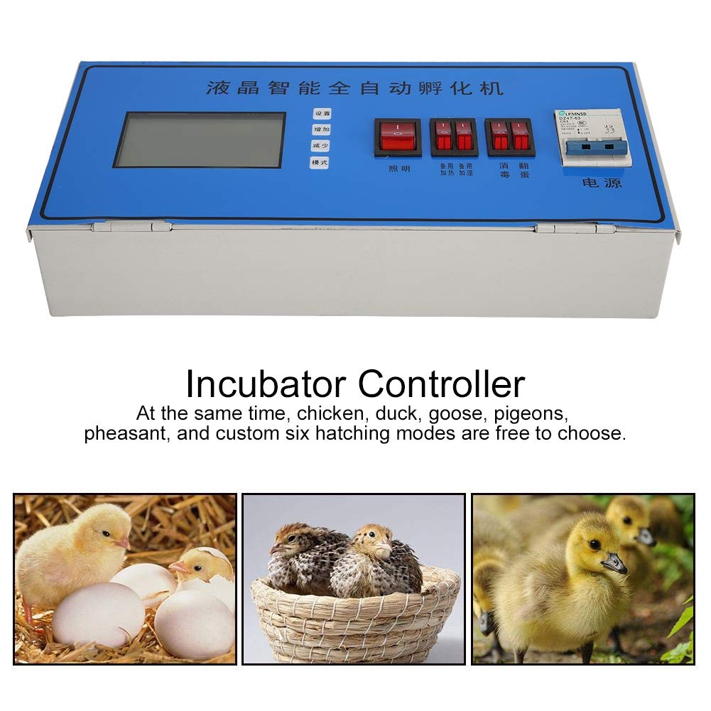 Incubadora Digital automática LCD inteligente, incubadora de huevos de gallina, controlador de temperatura y humedad
