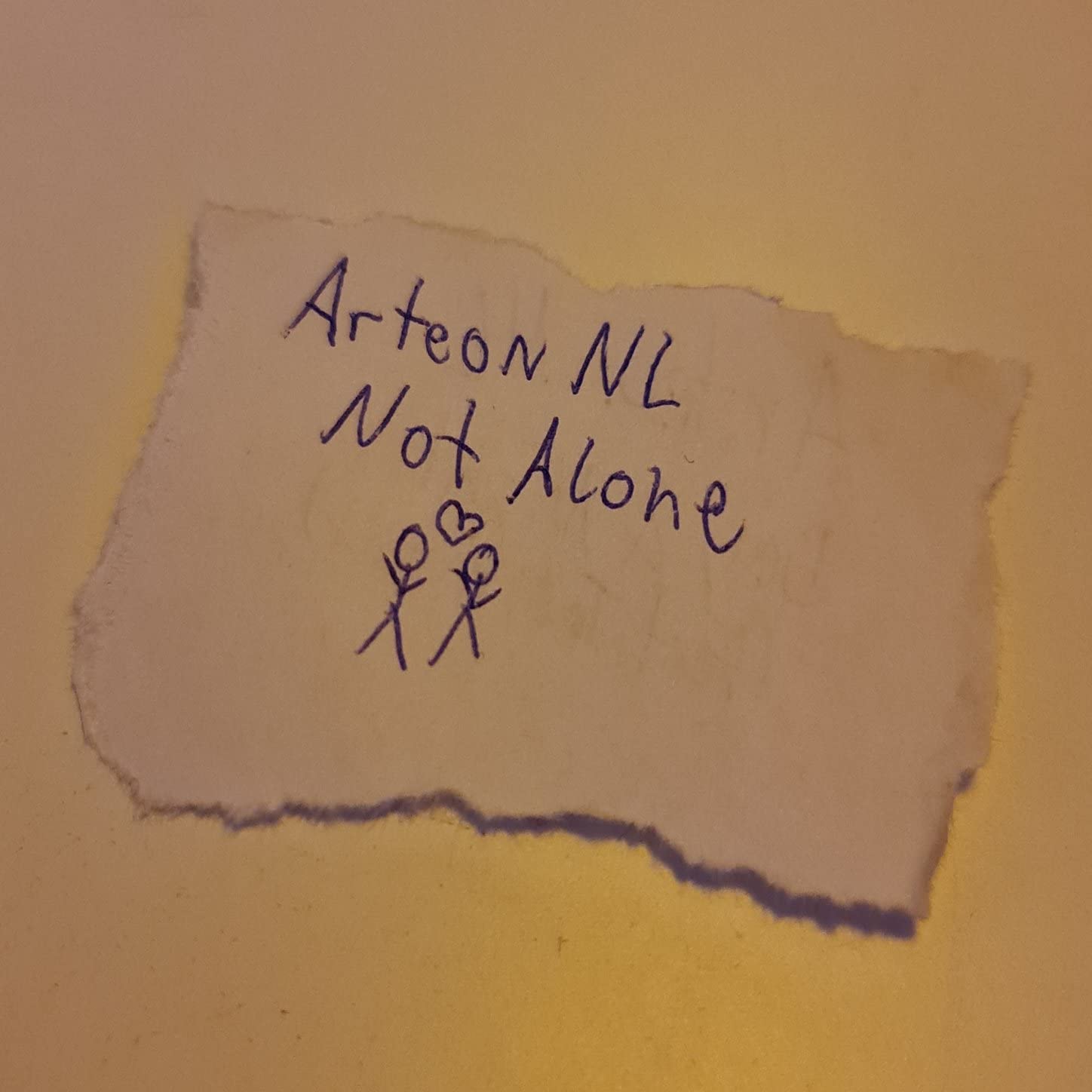 ArteonNL