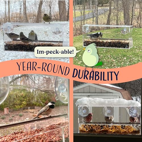 Nature'S Hangout BIRD HOUSES FOR OUTSIDE HANGING Window Bird Feeder Easy To Use To Attract Birds, Cool And Unusual thumb #3