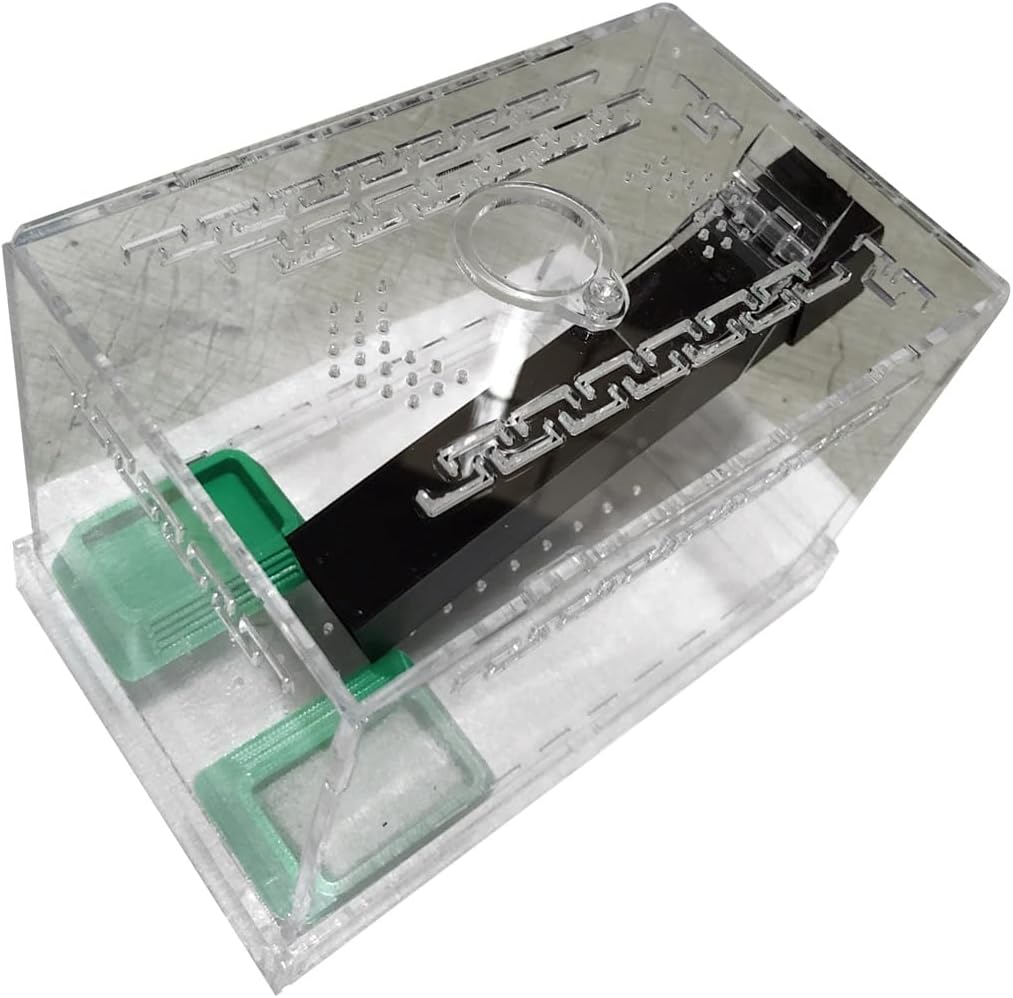 Spacious Crickets Keeper Enclosure Large Capacity With Feeding Tubs And Hide Tube Removable Lid Cricket Tanks