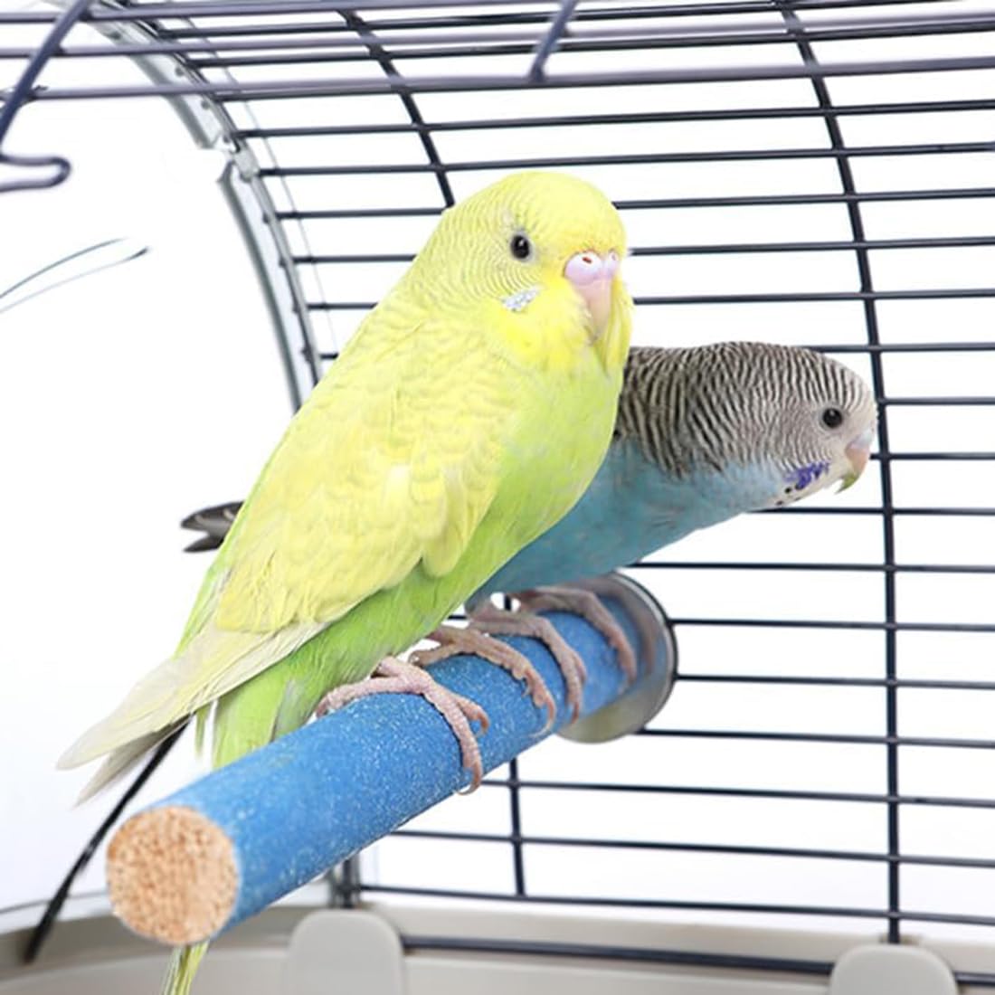 3 set posatoi giocattoli per pappagalli - uccello masticare casa pulizia piattaforma, colore casuale