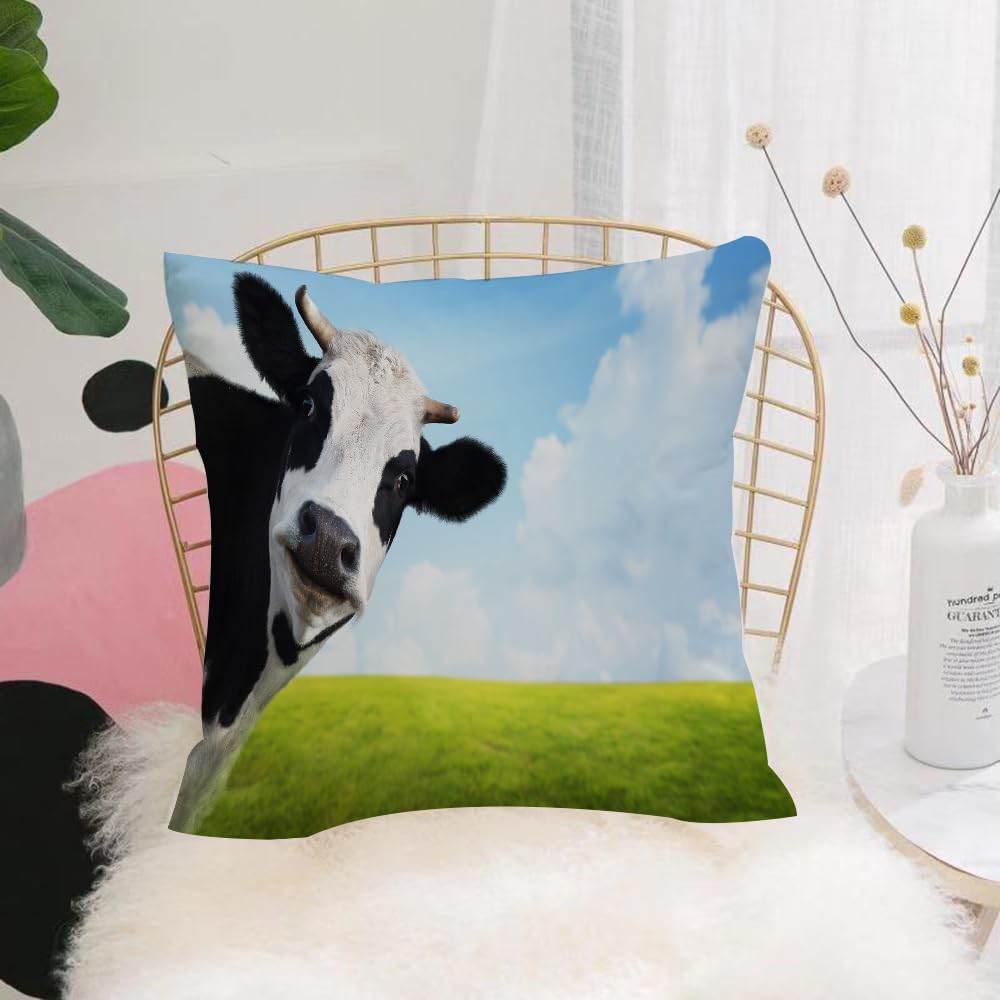 HYOSXW Cushion Cover,Throw Pillow Case Home Decorative for Living Room Bedroom Sofa Chair 16X16 Inch,Funny cow on a green summer ow. Blurred background,Pillowcase 40X40cm