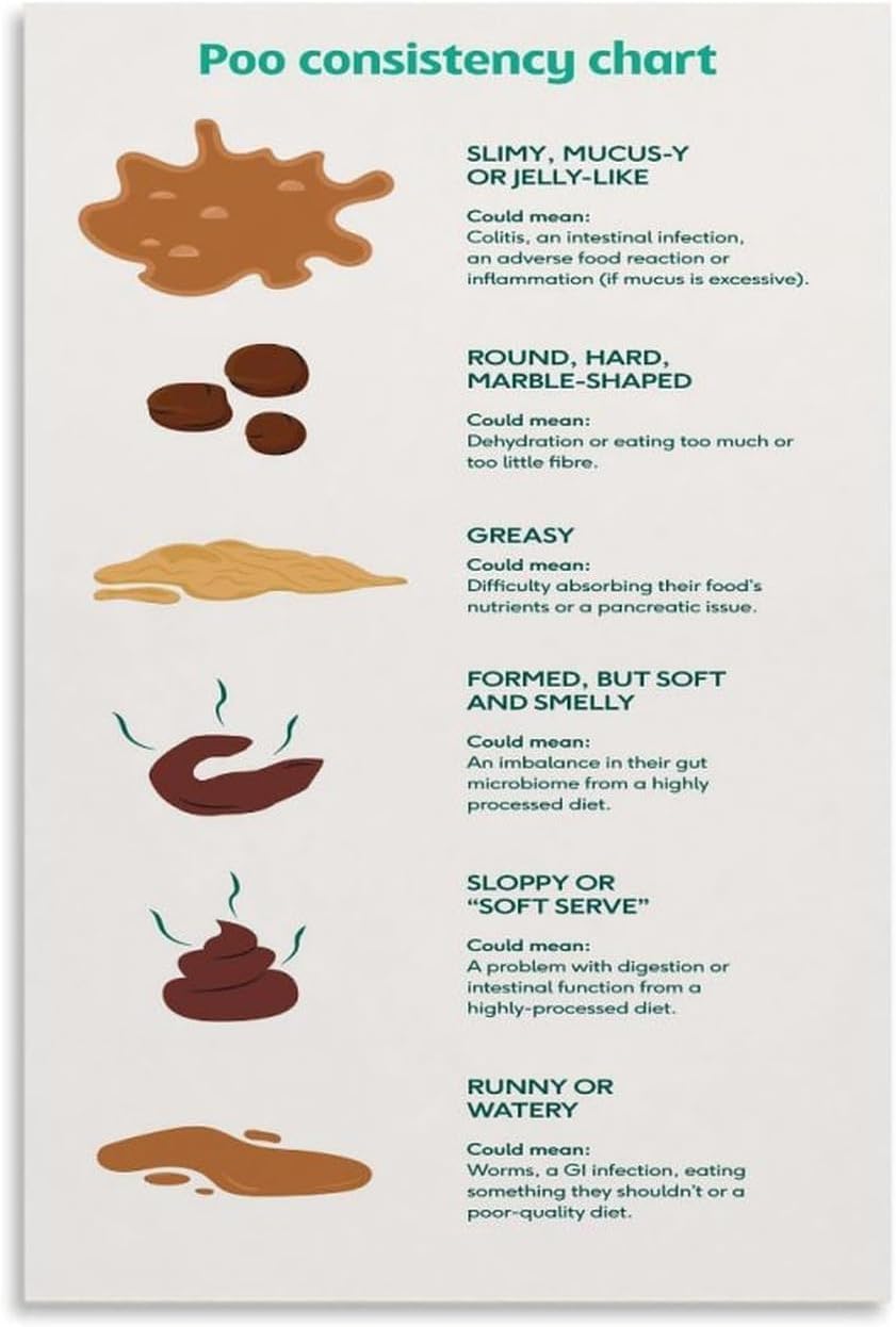 Stool Matrix SitrMGH Bristol Stool Chart Diagnosis of Intestinal Constipation and ...
