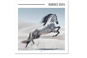 Horse Calendars 2024 Wall