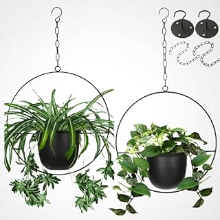 2 Pack Hanging Planters for Indoor Plants with 5.5