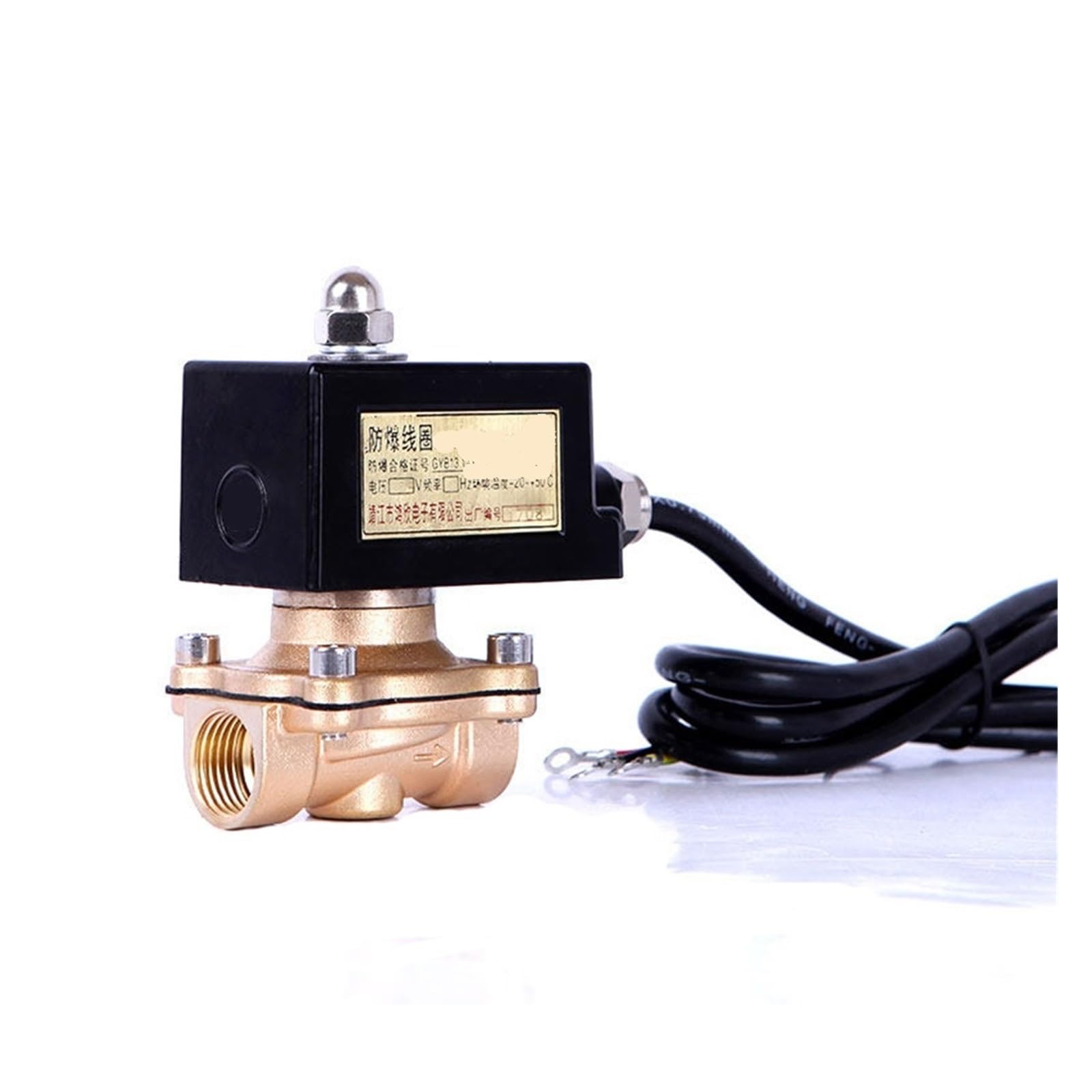 LYEUXHJPX 1PCS 3/4" explosion-proof solenoid valve with integrated thermal fuse and cartridge fuse(110VAC-NORMALLY CLOSED)