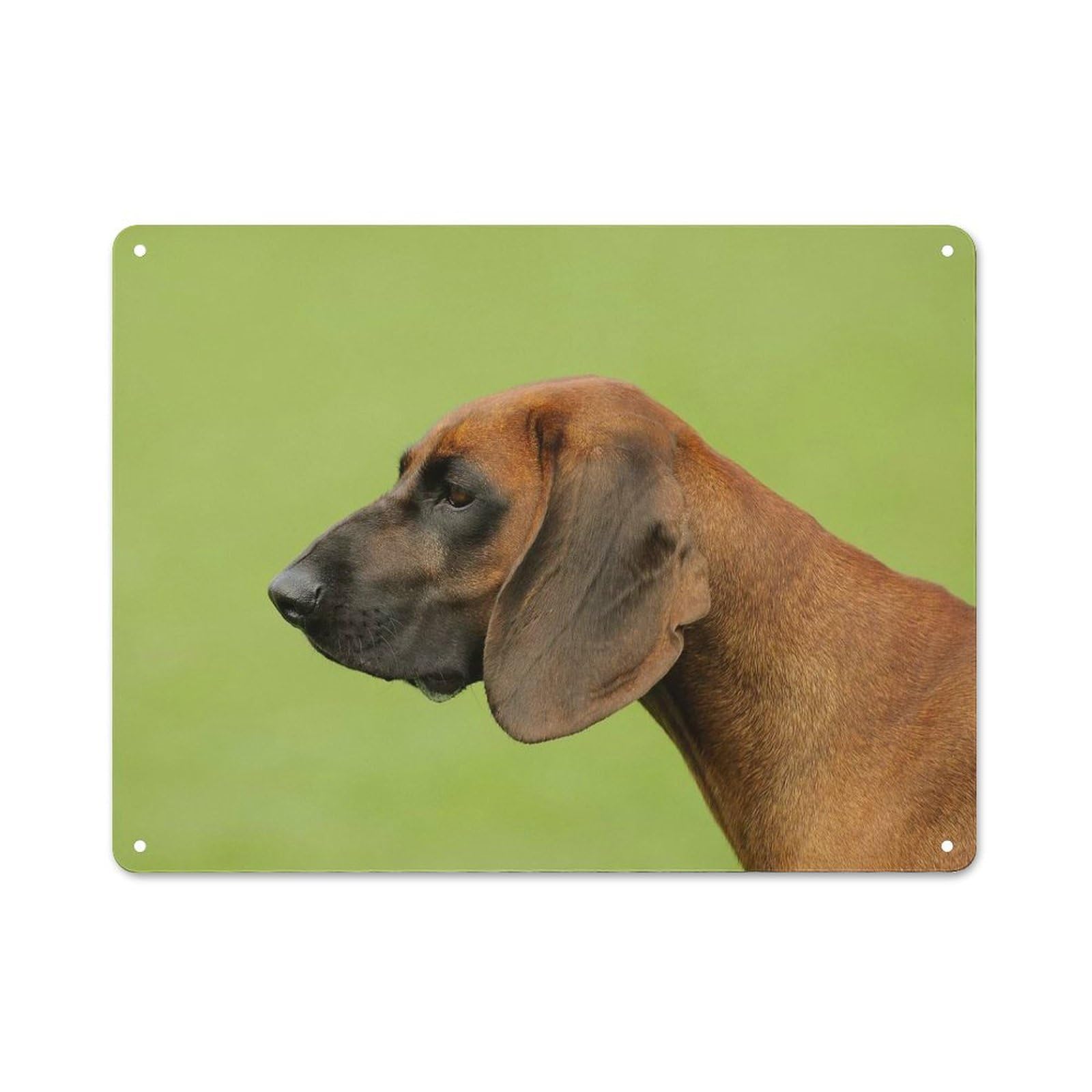 Junmoney Style-17 Bavarian Mountain Hound Vintage Metal Sign 30X40cm, Vintage Bistro Wall Plaque For Coffee Bar, Small Shop Or Dining Room