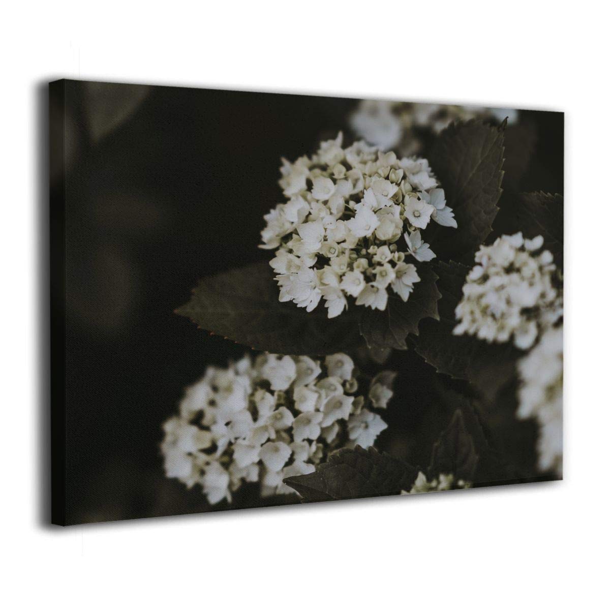 Tour Edge Hot Launch E525 VIBRCOR Lob Wedge 60* (Steel True Temper MPH 95, Left) 2025