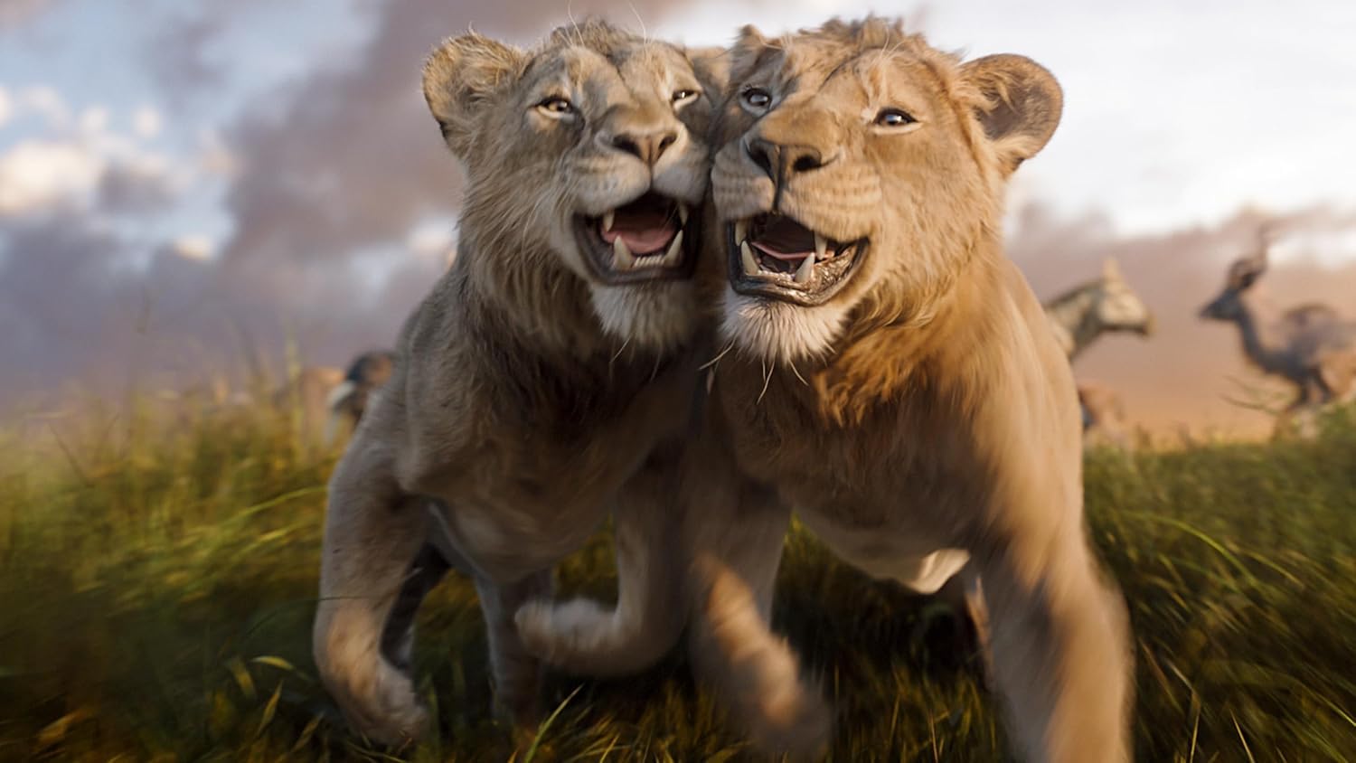 Mufasa: The Lion King (SteelBook, Limited Edition) [4K UHD + Blu-ray] [Region Free]