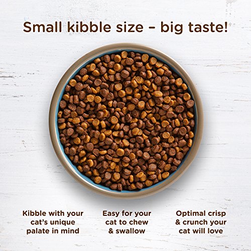 Rachael Ray Nutrish Longevity Premium Natural Dry Cat Food, Chicken with Chickpeas & Salmon Recipe, 14 Pounds (00071190001474)