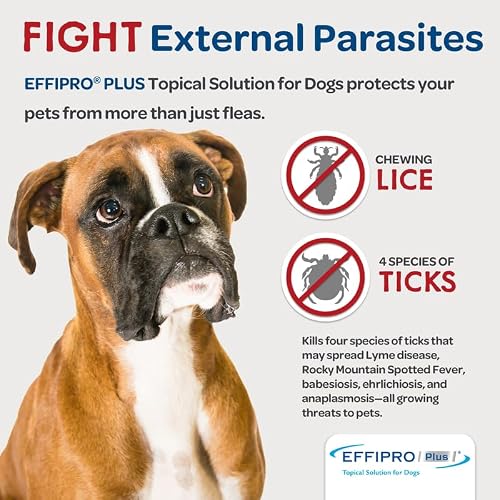 Effipro Plus Topical Solution for Dogs - Dog Flea and Tick Treatment for Large Dogs (45-88.9lbs), 3 Doses, Waterproof Topical Prevention (by Virbac)