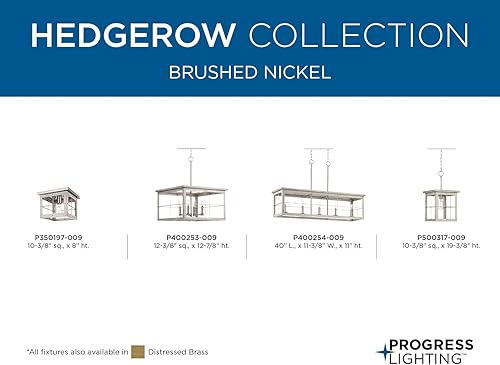 Miniatura 10 de Progress Lighting P400254-175 Hedgerow IslandLinear, 11.00x40.00x11.38, Latón