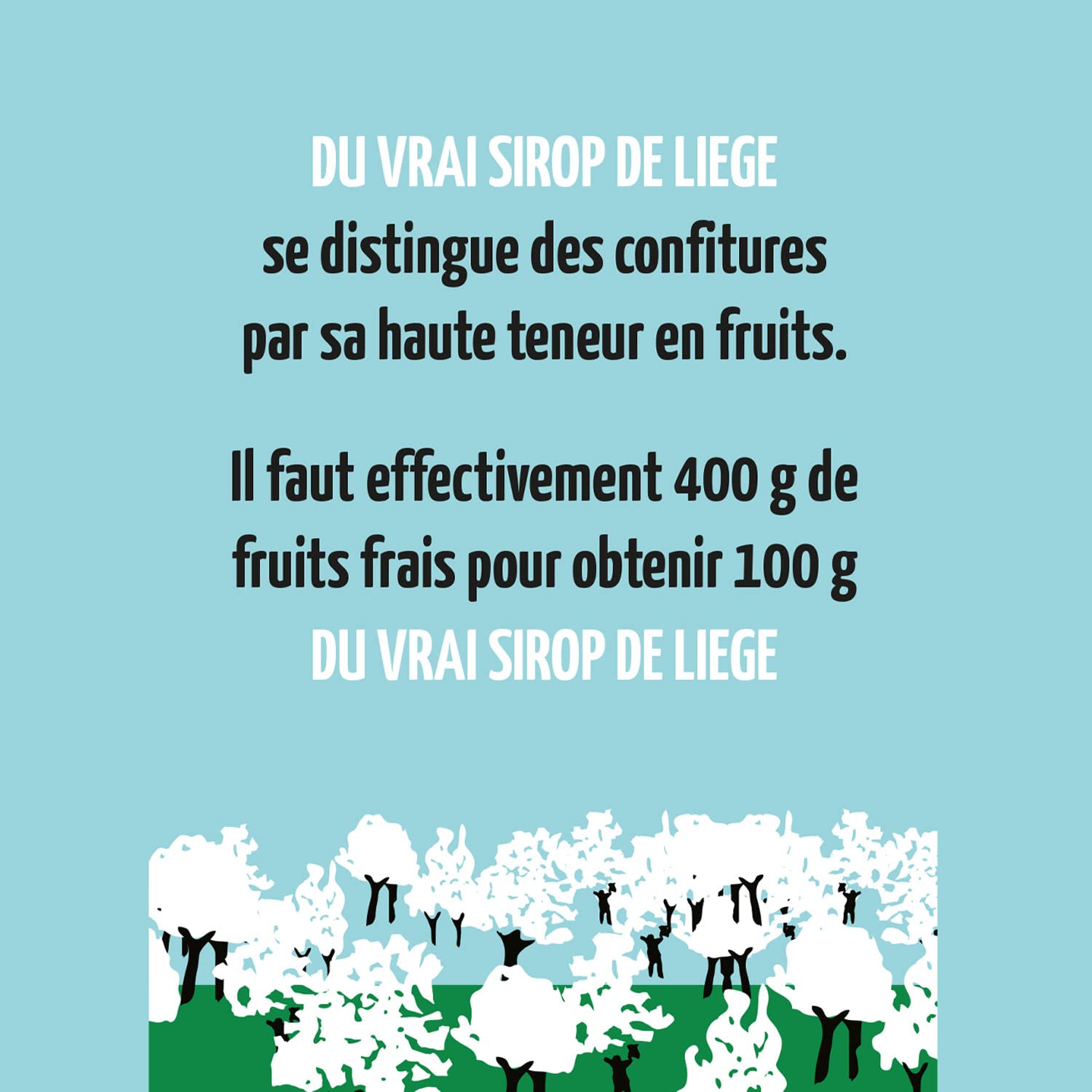 Du Vrai Sirop de Liège 900g