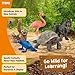 Schleich Wild Life - 5PC Exotic Animal Starter Playset Figurine Bundle - With Flamingo, Sloth, Frog, Giant Tortoise and Monkey Figures for Boys and Girls - Realistic Animal Toys Kids Ages 5+ | 77590
