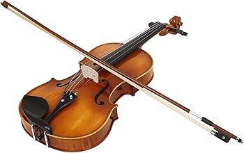 Amazon | プロフェッショナルビオラケース ビオラ初心者セット