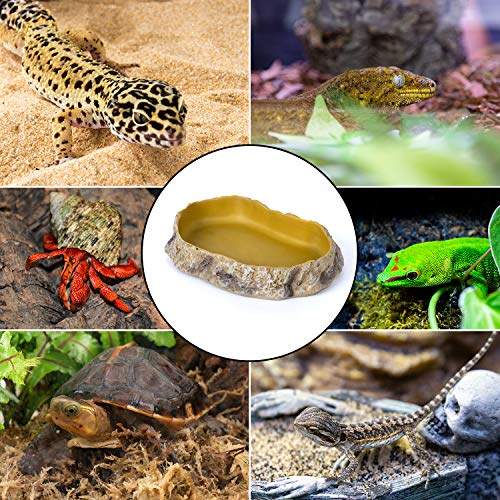 image for REPTIZOO Reptile Food Dish Terrarium Water Bowl Food Feeding Bowl for 