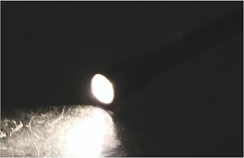 Miniatura 7 de Maglite Mini linterna incandescente AAA de 2 células en caja de presentación, gris