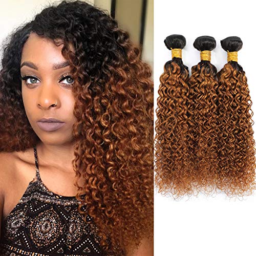 Ombre Brazilian Kinky Curly Hair 3 Bundles, 10A Remy Dark Blonde Curly Weave Human Hair Extensions 100g, 100% Unprocessed Brazilian Virgin Hair Color Brown (10" 12" 14", 1B/30)