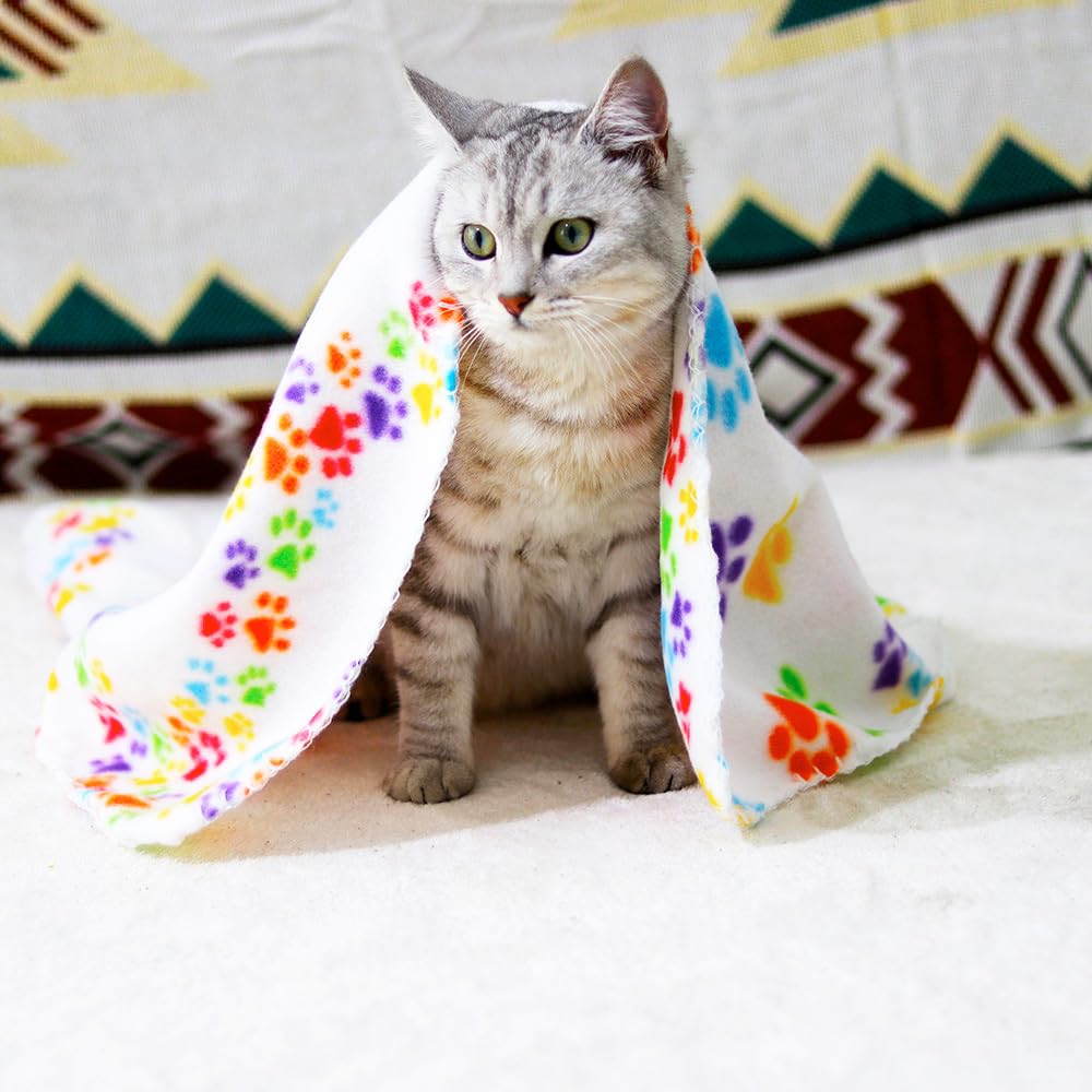 TBK Pets Double-Sided Fleece Pet Blanket, Soft Snuggle Blanket for Dogs and Cats Machine Washable (1 White, 28x24/70x60cm) - Image 2