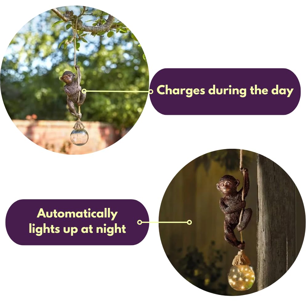 Statue de singe solaire Garden Mile - Lanterne solaire en résine imperméable avec lumières LED - Décoration de jardin et terrasse