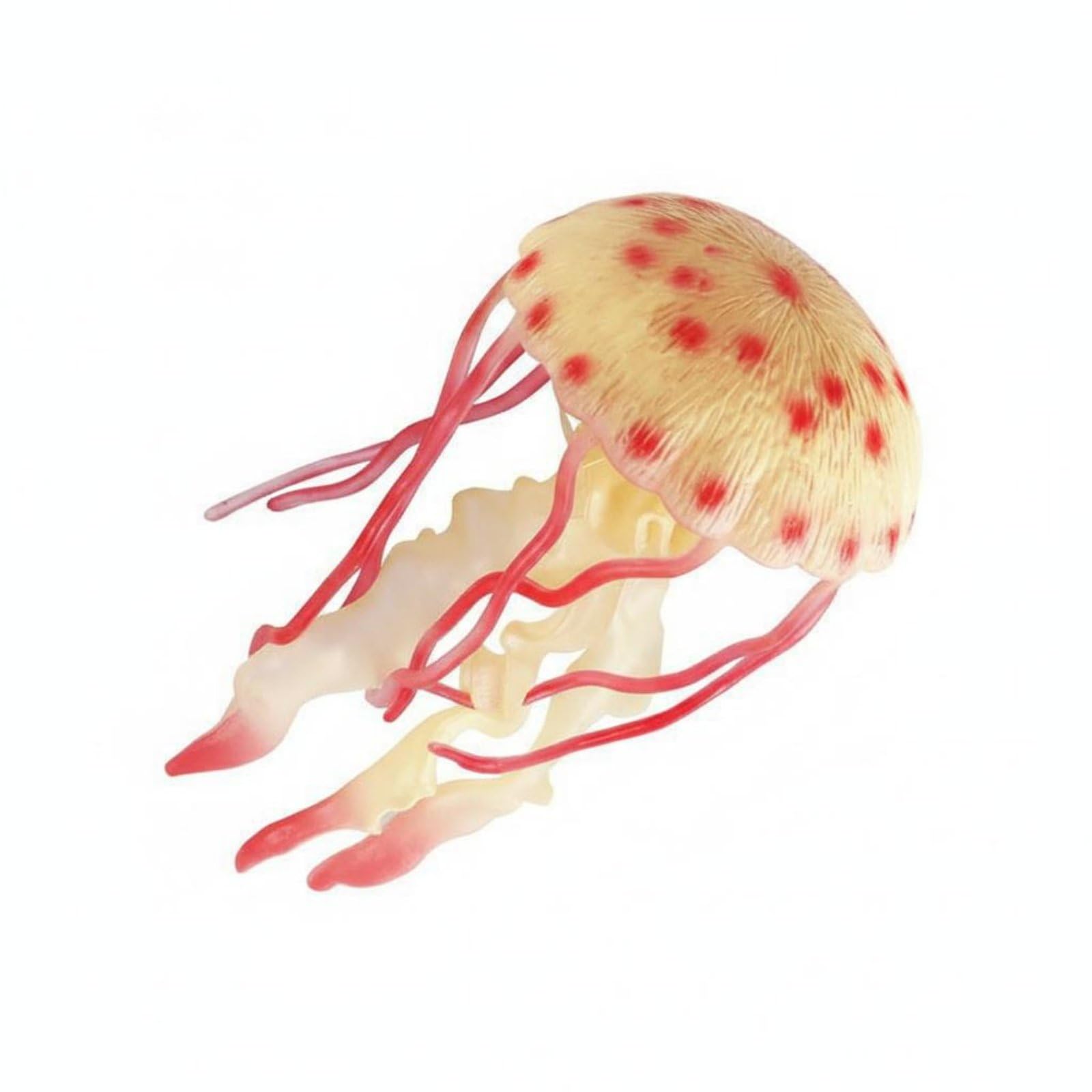 BNF® Realistic Crustacean Model Highly Detailed Three-Mark Toy Oceanic Habitat Creature Decoration Educational, Orange | Other Marine Life Collectibles Fish &-picture-10