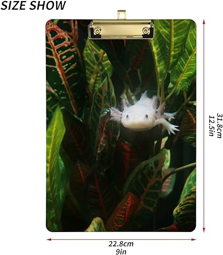 Miniatura 3 de Portapapeles acrílico Axolotl Natural Tropical A4 tamaño carta estándar con clip de metal dorado perfil bajo clip de regreso a la escuela 9 x 12.5
