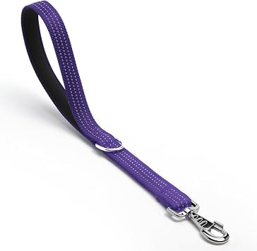 Dog Leash Heavy Duty Metal Hook,Reflective Training Lead,Nylon Traffic Padded Handle Short Dog Leashes. Purple, 18"