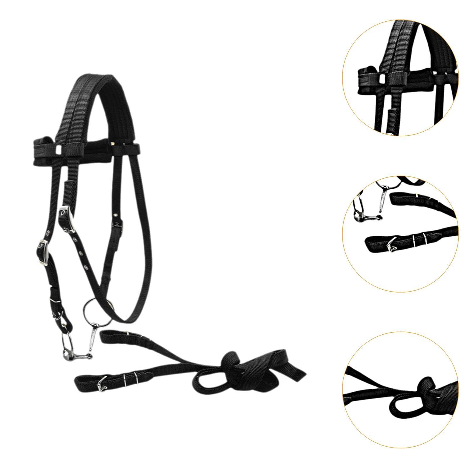 Selle de cheval sans arbre + bride et rênes - Équipement d
