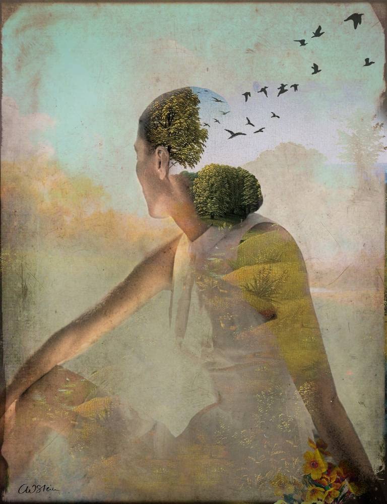 Imagekind Summer Dreaming Ethereal Dreamscape Surreal Fantasy Digital Illustration by Catrin Welz-Stein, Poster Art Print, Wall Decor | 11x14