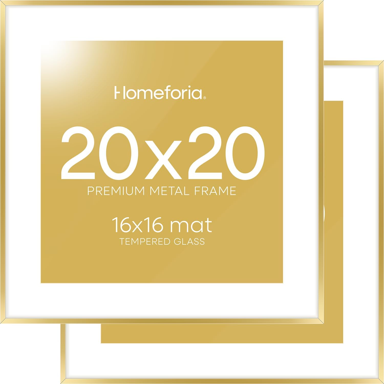Homeforia 20x20 Gold Picture Frame (Set of 2)