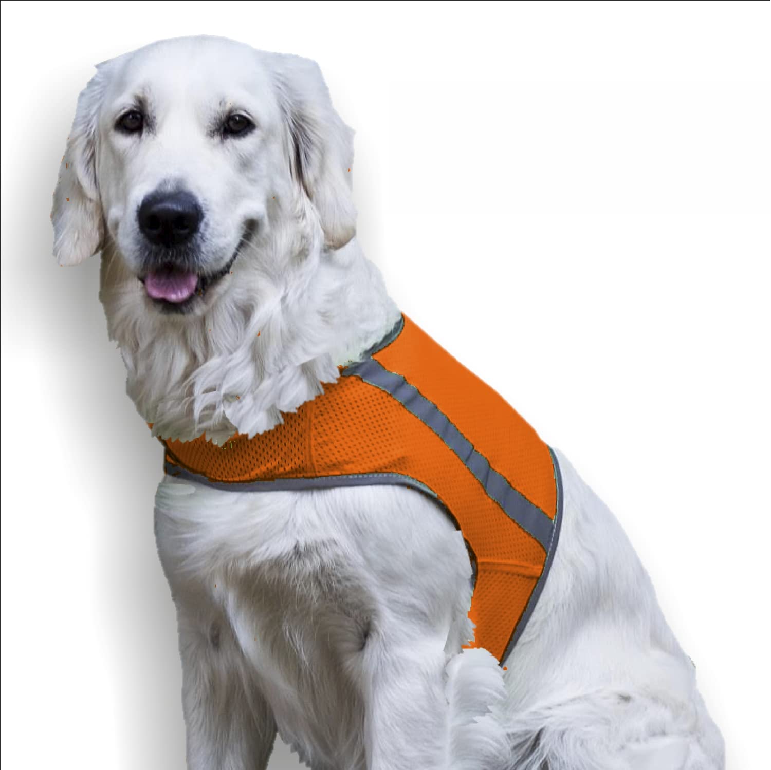FinNero ATTE Dog High Visibility Attention Vest, Safety Reflective Vest (orange, XXL)