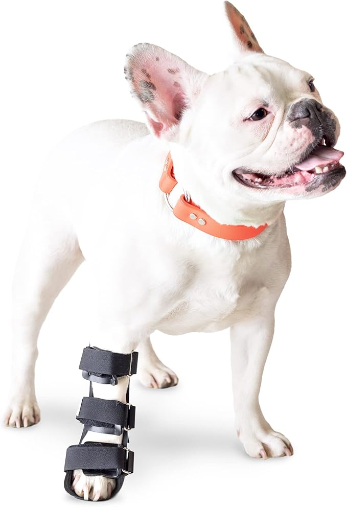 Walkin' Pet Splint for Dogs Front Leg Foot Splint for