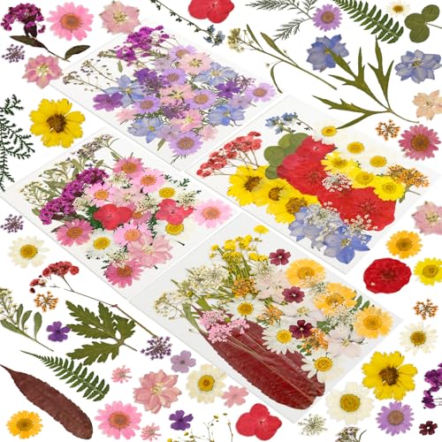 Image of 240 Pcs Dried Pressed Flowers for Resin Crafts, Real Natural Pressed Flowers and Leaves Kit Butterfly Stickers Vacuum Sealed Dry Flowers for DIY Epoxy Resin Jewelry Molds, Candle Soap Making, Nail Art