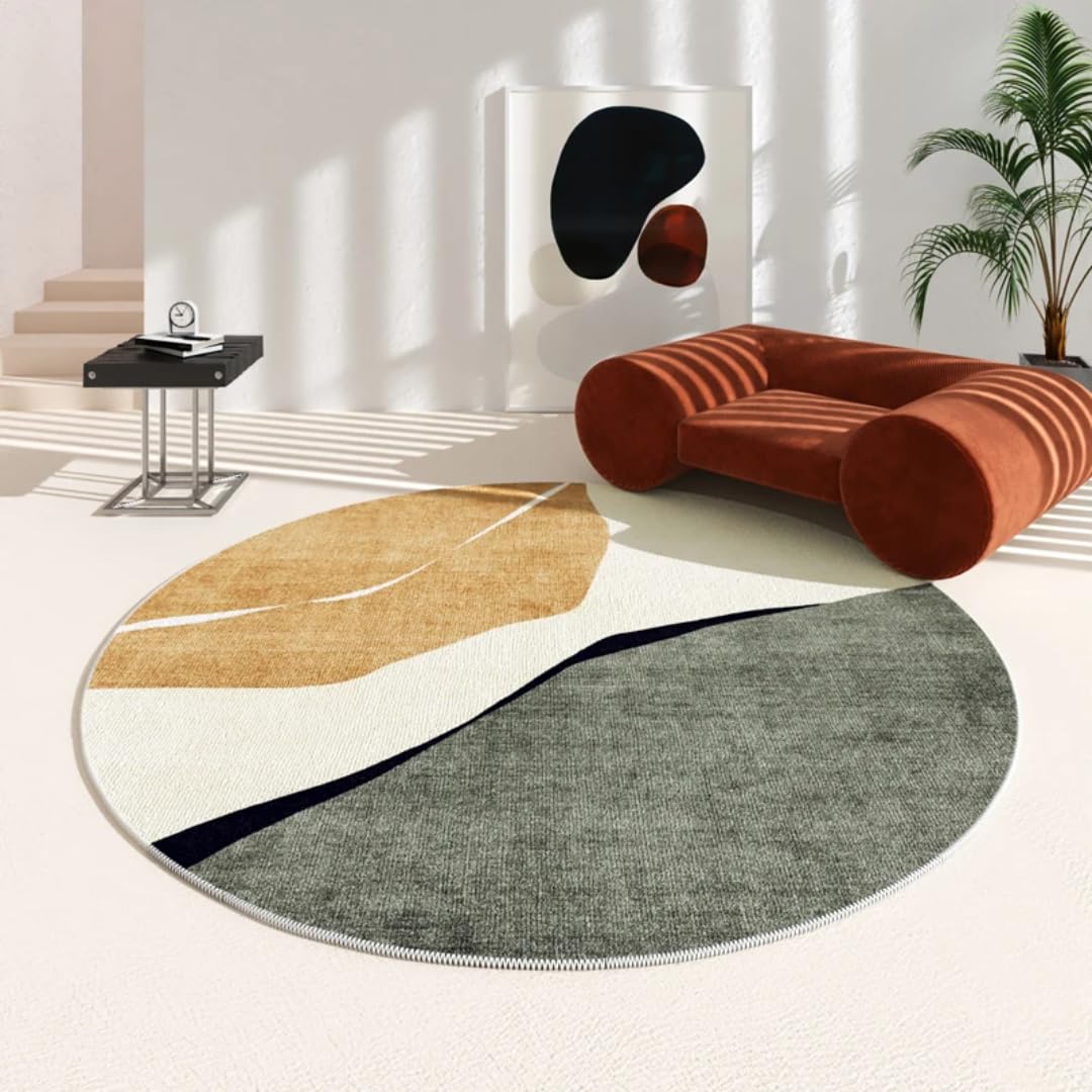 Tapis irrégulier de salon lavable pour éliminer les taches tenaces