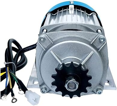 High Speed Motor Brushless Differential Motor 48 V 60 V 550 W 800 W 1000 W Brushless DC Motor Electrica