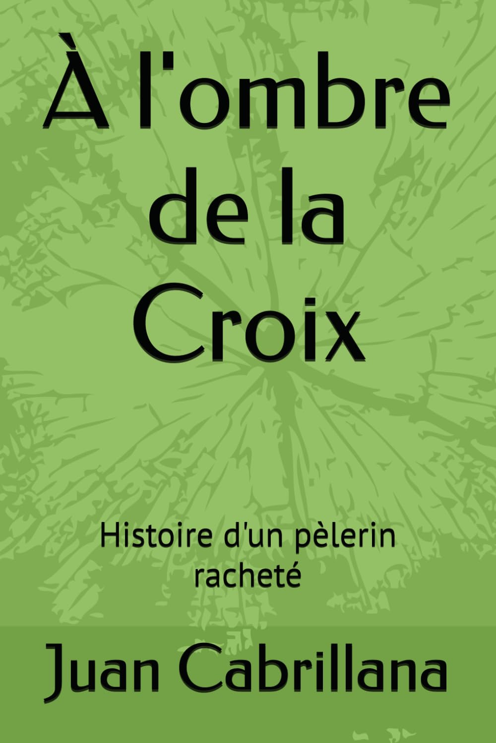 À l'ombre de la Croix: Histoire d'un pèlerin racheté