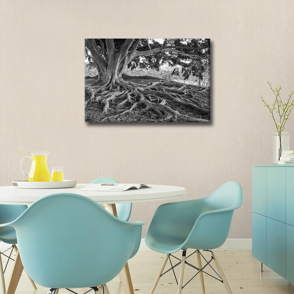Black and White Canvas Wall Art for Bedroom Big Tree Root Wall Paintings for Living Room Natural Landscape Office Modern Wall Art Pictures Print On Canvas Giclee Framed Ready to Hang - Image 3