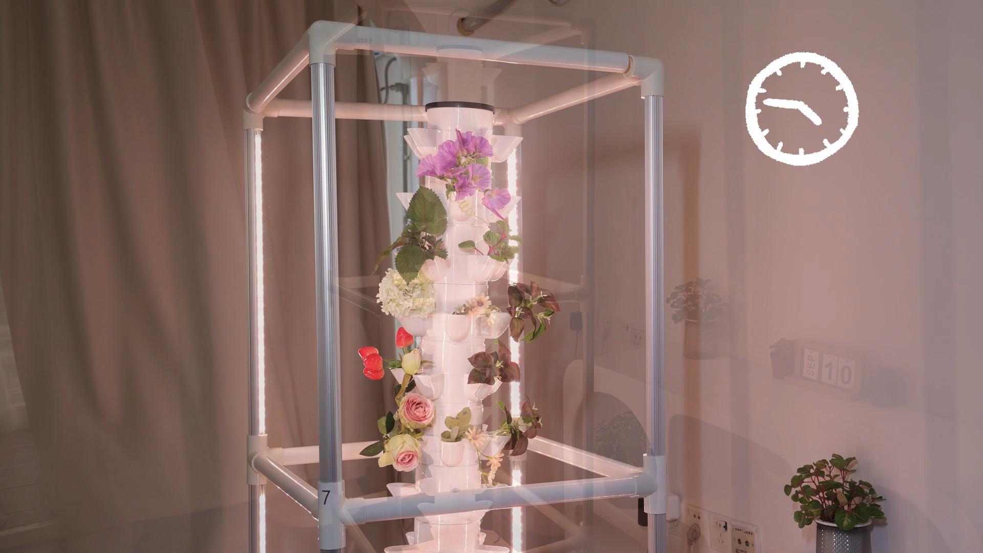 Hương popi Amazon.com : SJZX Hydroponic Growing System Kit - 70 Pods