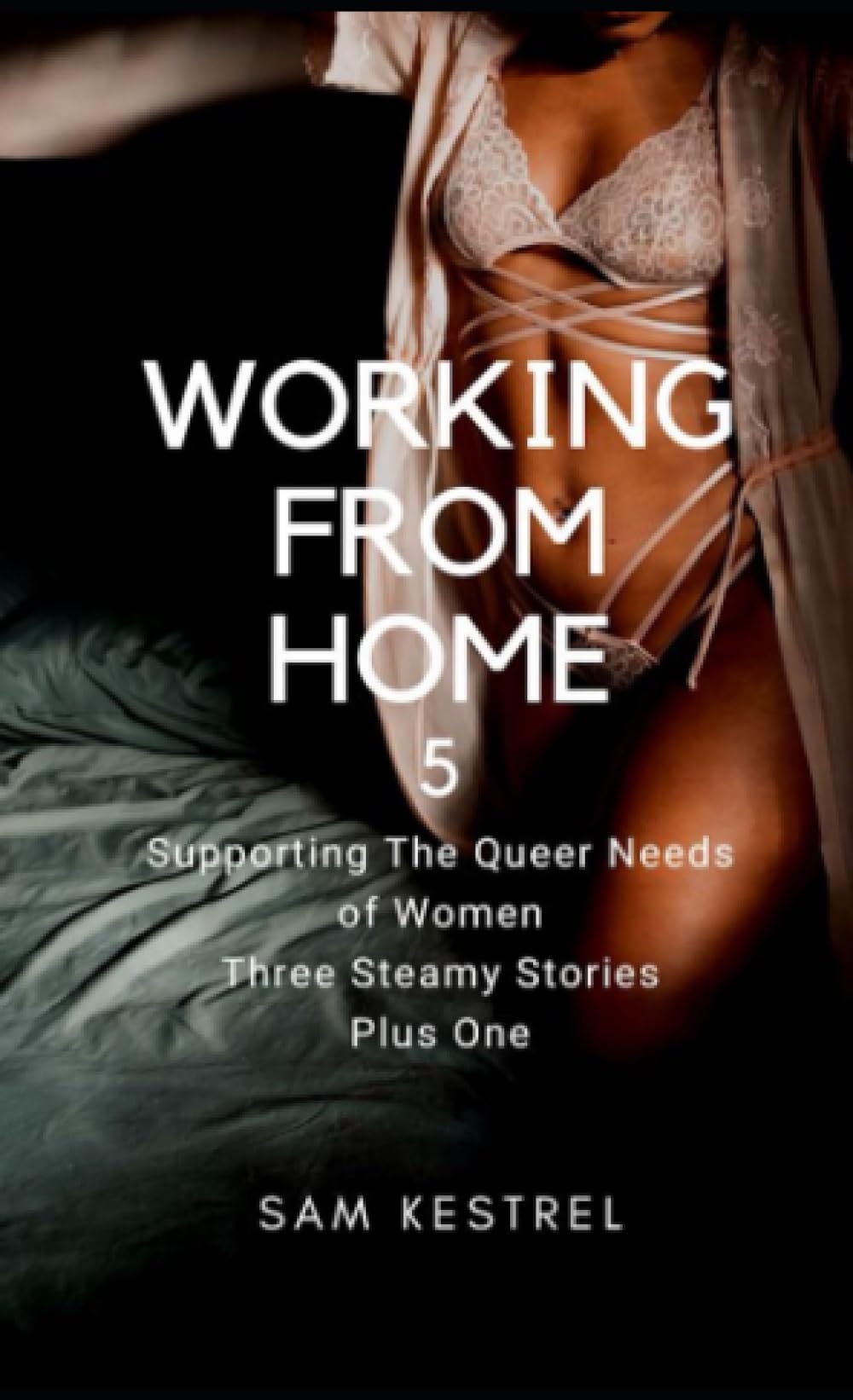 Working From Home 5: Supporting the Queer Needs of Women Three Steamy Stories Plus One