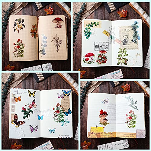 image for Tenare 200 Pieces Transparent Flower Eucalyptus Plant Stickers Set Jou