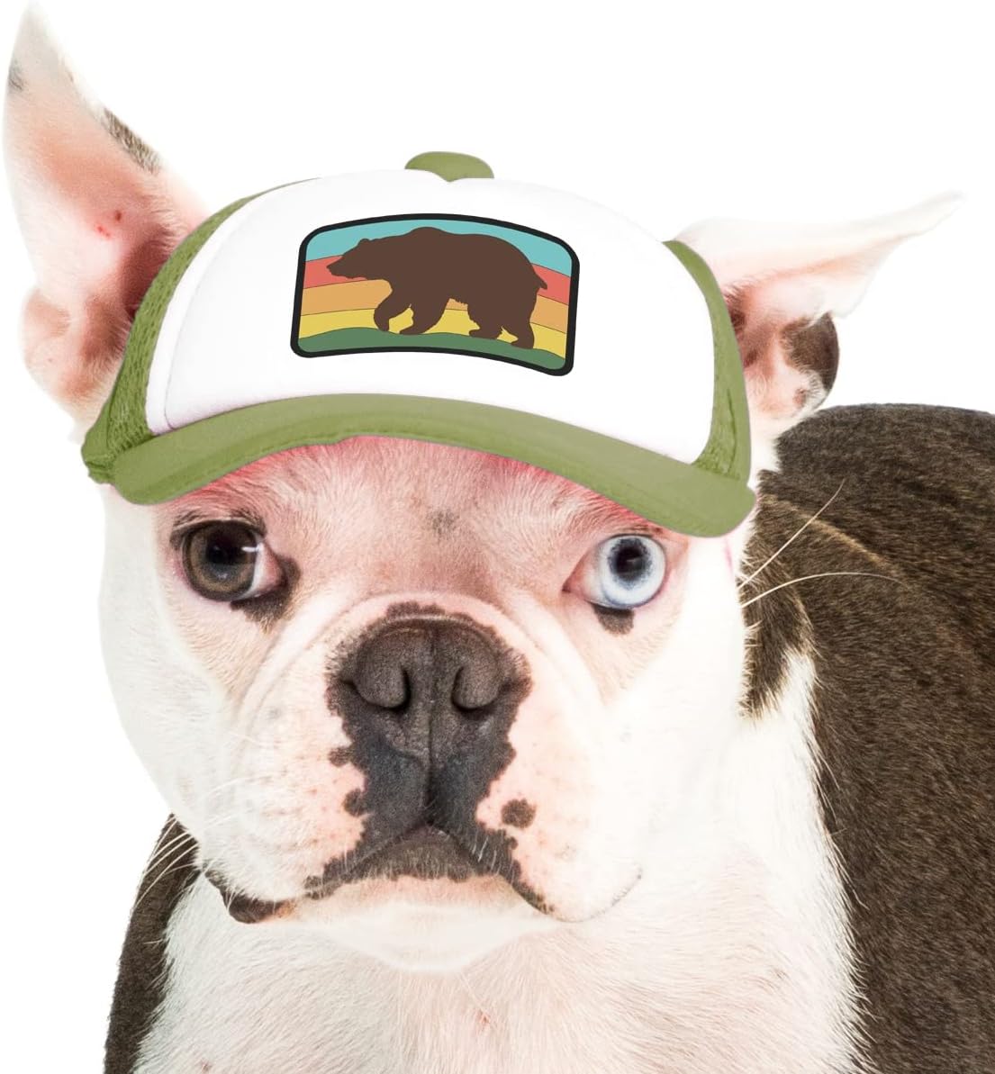 Nature Collection, PupLid Trucker Hats for Humans Stylish Sun Protection Human Hat to Match and Twin with Your Dog (Red Bear)