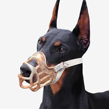 Basket Muzzle for Small to Large Dogs - Allows Panting & Drinking, Ideal for Grooming & Training Orange, Size 6