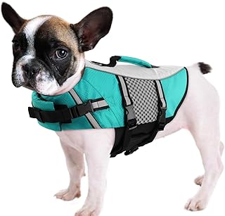 Queenmore Life Jacket for Small Medium Dogs Neoprene Lightweight Reflective Cat Puppy Kayaking Life Saver for French Bulldog, Dachshund, Shih Tzu, Pug (Peacock Green, product image