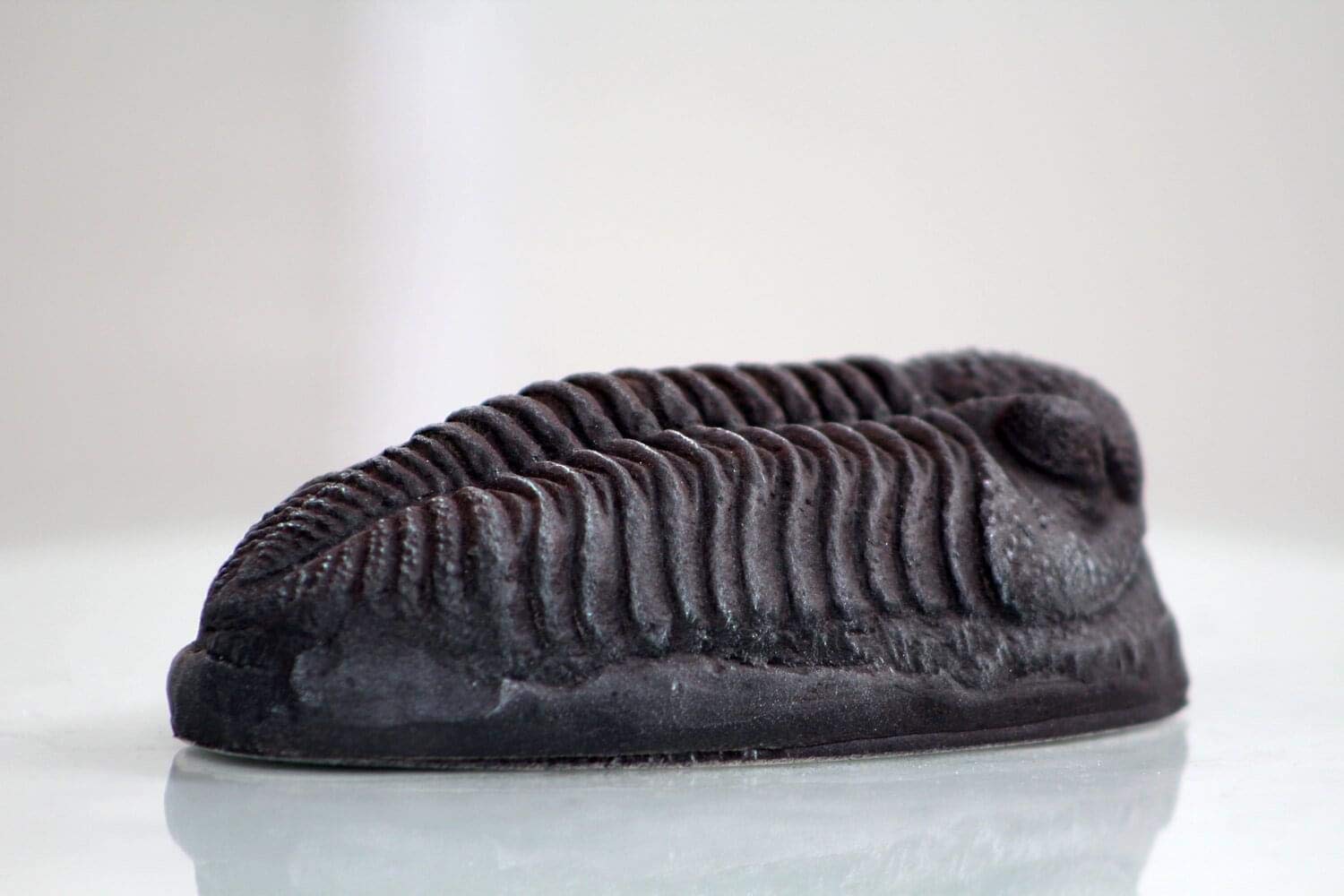 MR Trilobite Magnet Fossil Replica