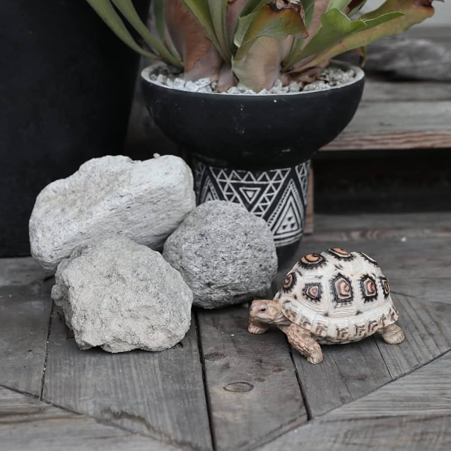 リクガメ　ゾウガメ　置物　オブジェ dショッピング |オブジェ ソマリアヒョウモンリクガメ ペット