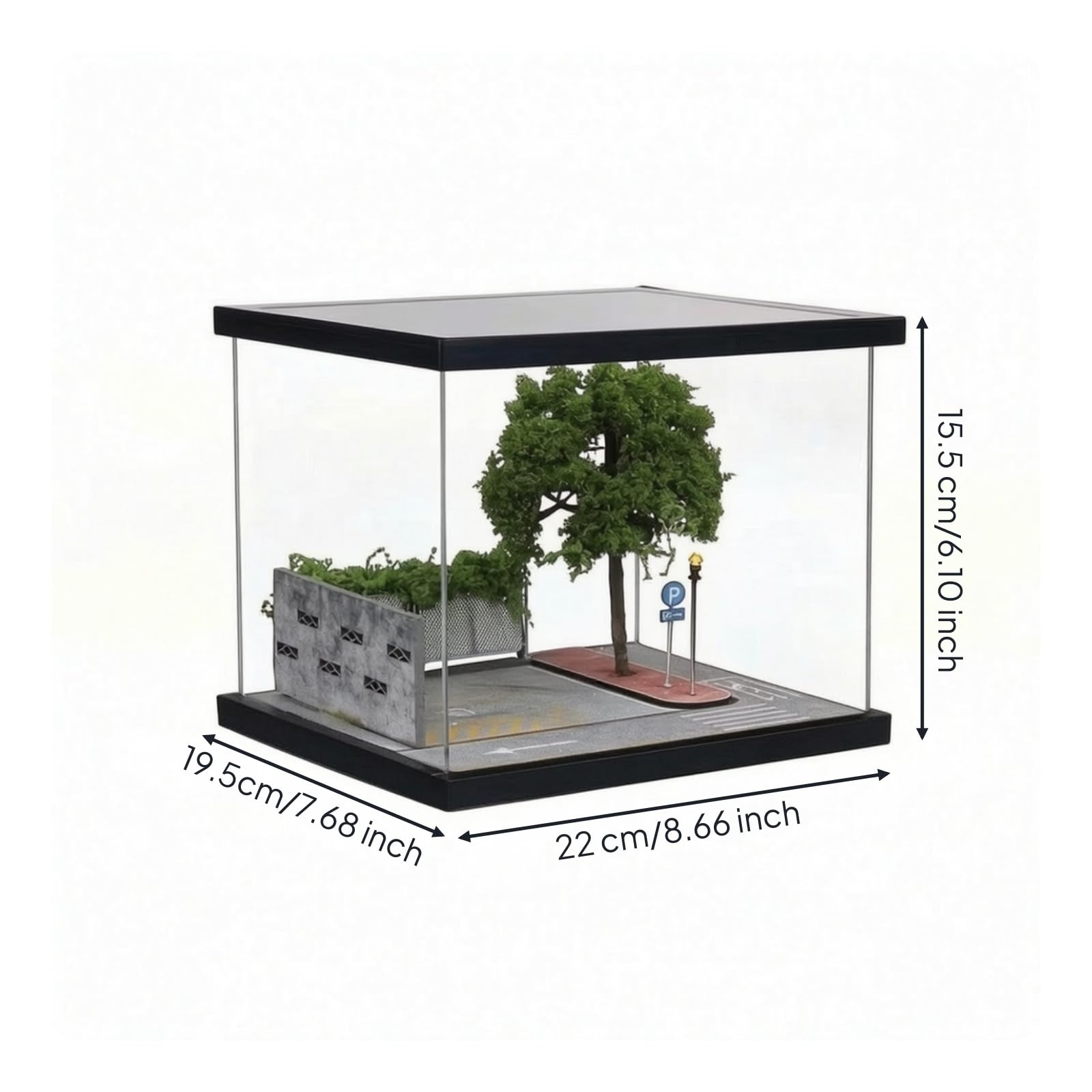 Diorama Stradale Trasparente