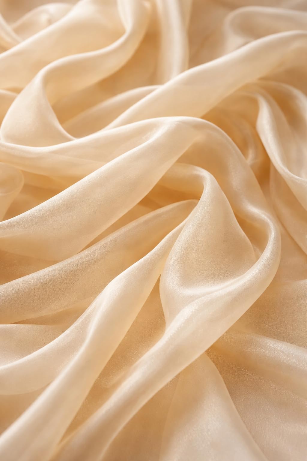 SARVAM Organza 10 Yard Champagne