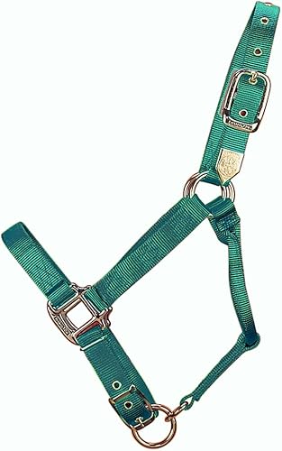 Hamilton Caballo ajustable de nailon de 1 pulgada, promedio, 800 a 1100 libras, verde oscuro